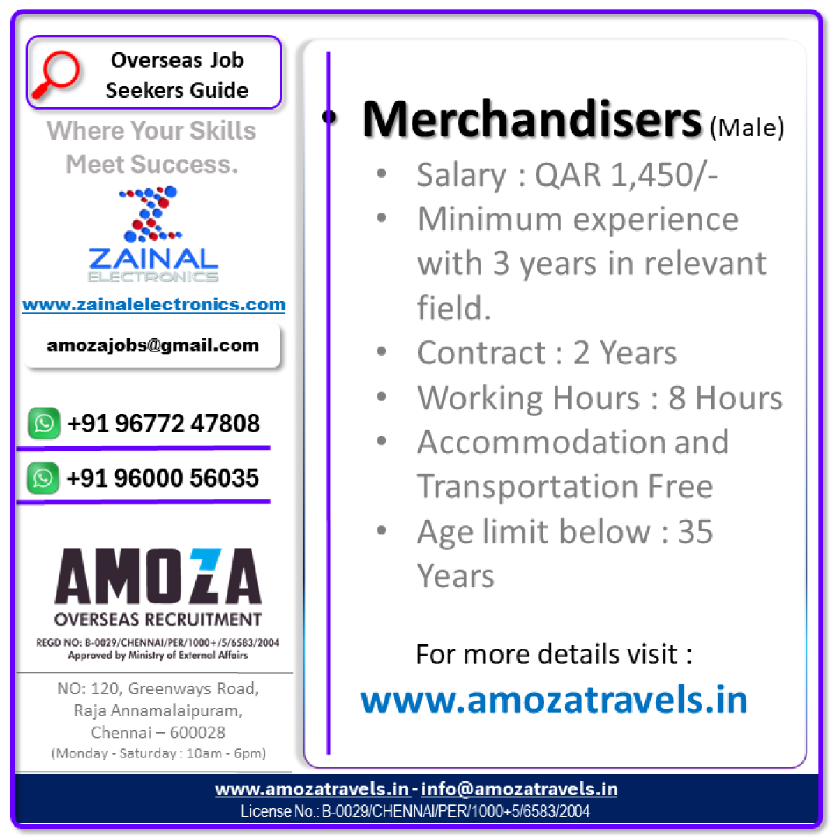 Merchandisers (Male)